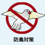 鳩被害 鳩対策 防鳥対策